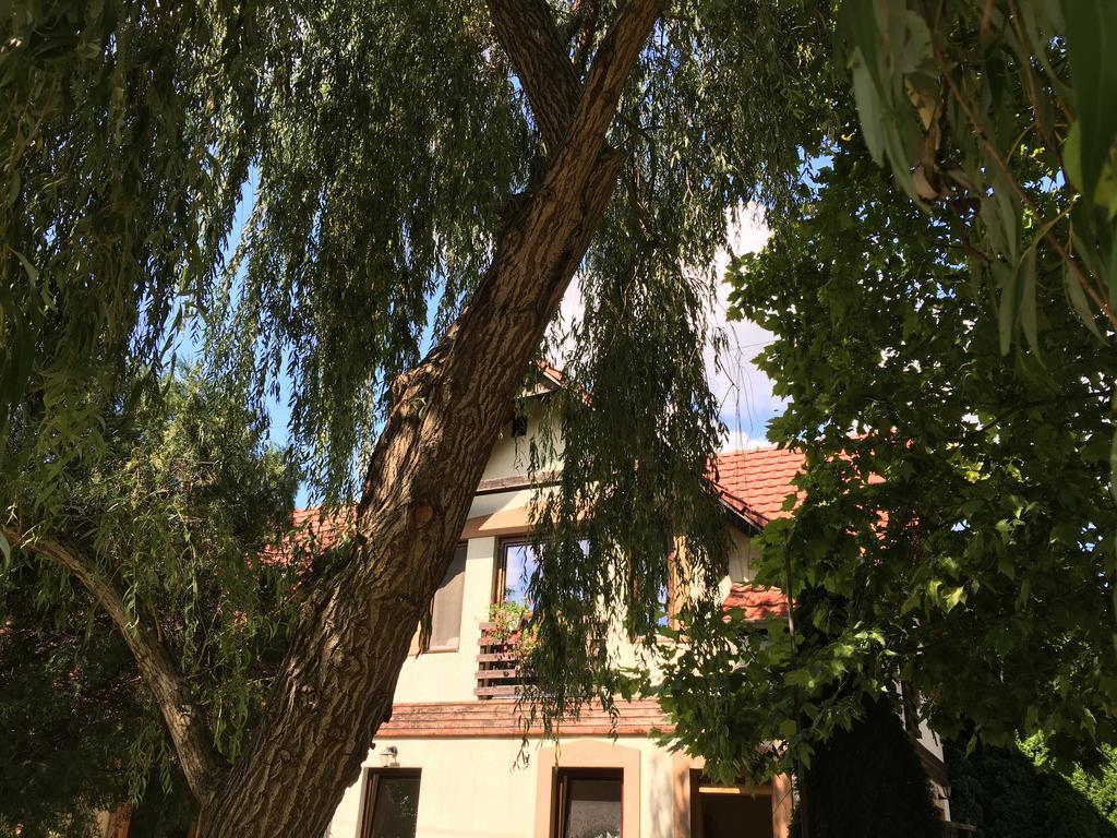 Vargapartman Szegedin Exterior foto